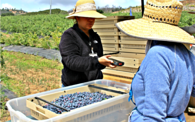 PickTrace collaborates with UC Berkeley researcher to help improve client’s workforce efficiency