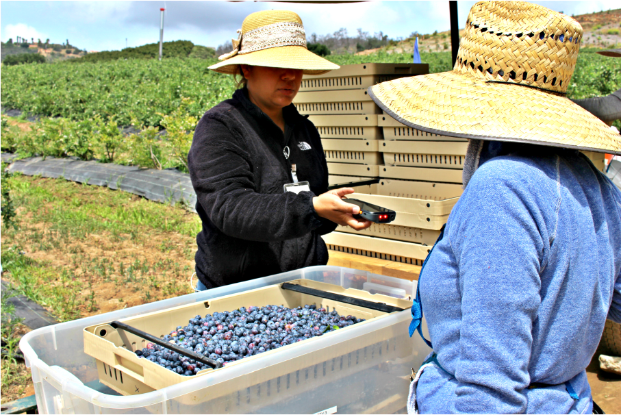 PickTrace collaborates with UC Berkeley researcher to help improve client’s workforce efficiency