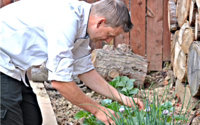 Farm-To-Table Movement Boosting Agricultural Awareness