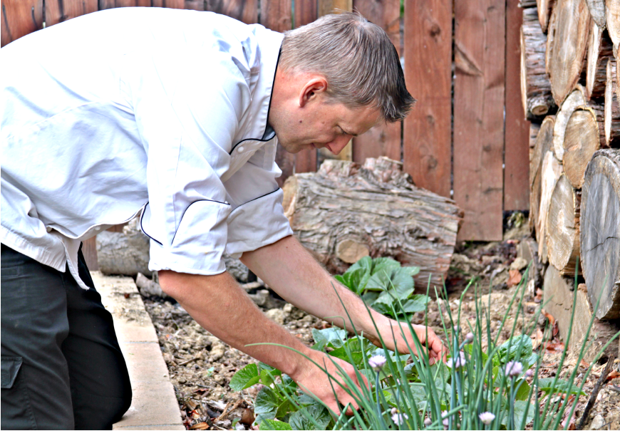 Farm-To-Table Movement Boosting Agricultural Awareness